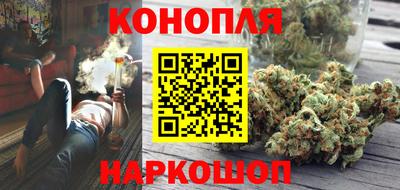 крисы Бузулук