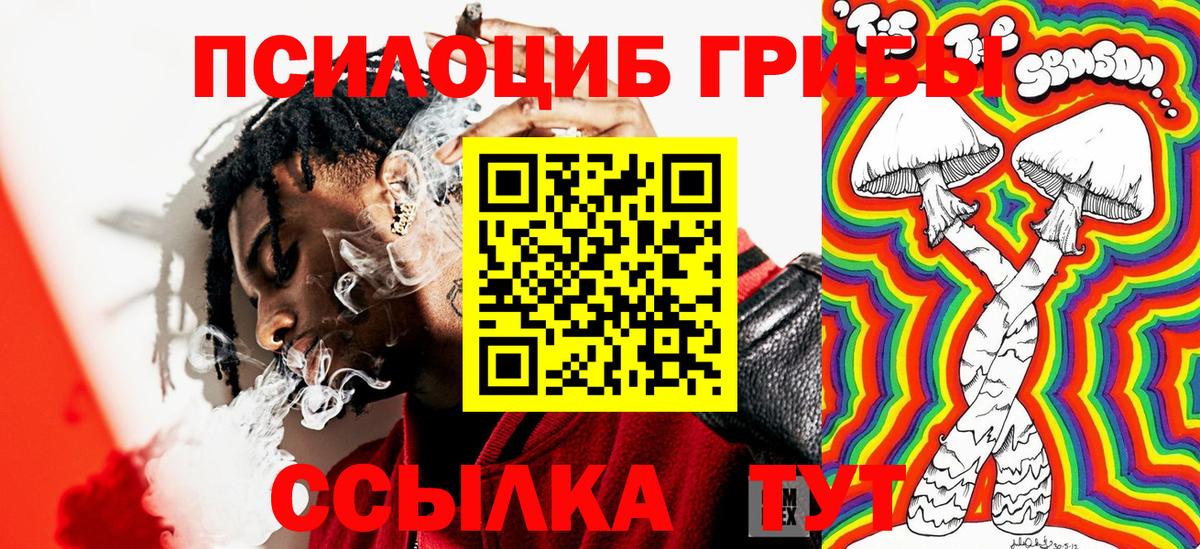 Светлоград  Псилоцибиновые грибы GOLDEN TEACHER  Вход с VPN 